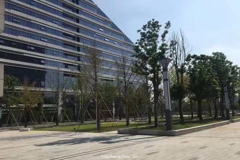 外立面